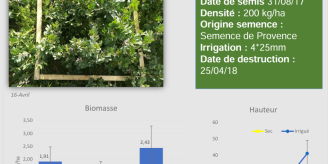 IllFicheTechniquePEICouvertVegetaux