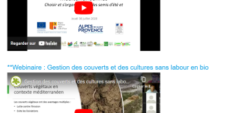 IlluWebinairePEICouvertVegetaux