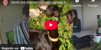 Vignette youtube vidéo