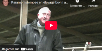 Vignette youtube vidéo