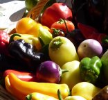 Photo carousel Favoriser une alimentation bonne, saine et équitable