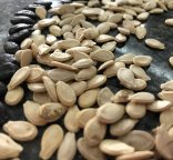 Photo de semences biologiques (c) Frédéric Rey, ITAB