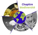 Logo Externalités de la bio, volet biodiversité