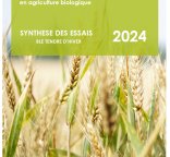 couverture synthèse blé tendre d'hiver 2024