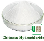 Chitosane