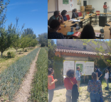 Montage photo du séminaire SB&NB 2024