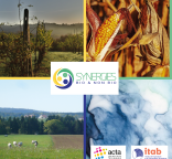 Visuel webinaires SBNB