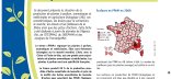 Fiches DévAB : couverture 8 Économie