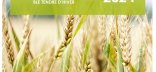 couverture synthèse blé tendre d'hiver 2024