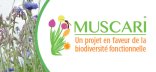 Bandeau logo MUSCARI