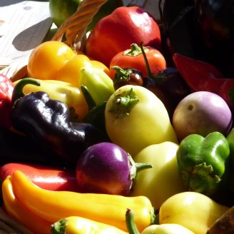 Photo carousel Favoriser une alimentation bonne, saine et équitable