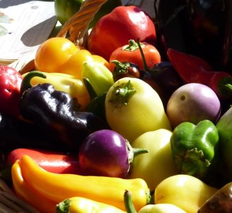 Photo carousel Favoriser une alimentation bonne, saine et équitable