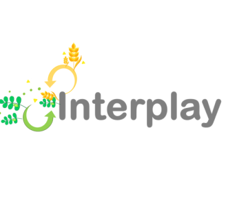 logo interplay jeu sérieu