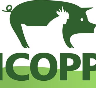 Logo projet ICOPP