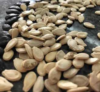 Photo de semences biologiques (c) Frédéric Rey, ITAB