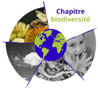 Logo Externalités de la bio, volet biodiversité
