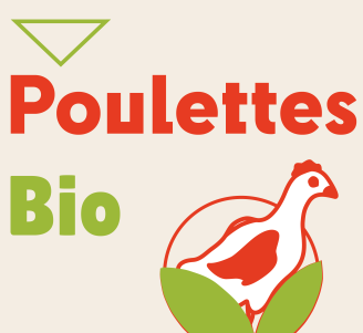 Visuel RS Poulettes Bio