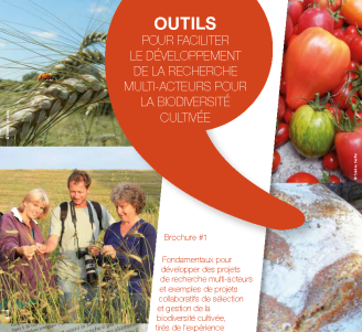Diversifood : Brochure 1 - Outils pour faciliter le développement de la recherche multi-acteurs pour la biodiversité cultivée