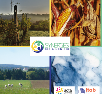 Visuel webinaires SBNB