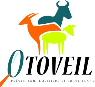 Logo du projet OTOVEIL