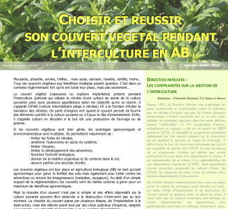 Couverture de la plaquette "Choisir et réussir son couvert végétal pendant l’interculture en AB"