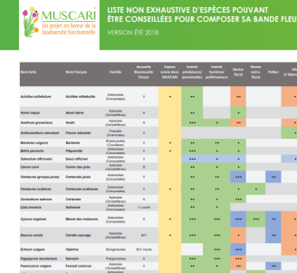 Visuel tableau caractérisation MUSCARI