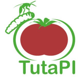 Logo du projet Tuta PI