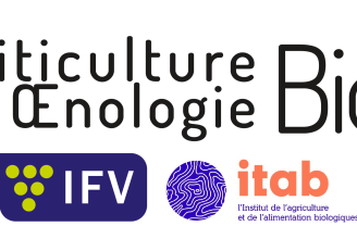 Logo Viticulture Œnologie Bio IFV ITAB