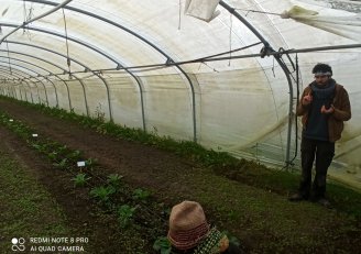 Photo des Journées Techniques Semences potagères biologiques