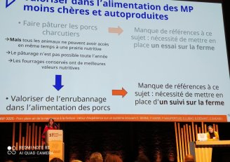 Photo de la présentation orale de Clémence Berne aux JRP 2025