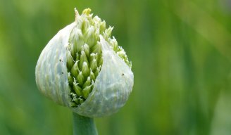 Site Substances de base